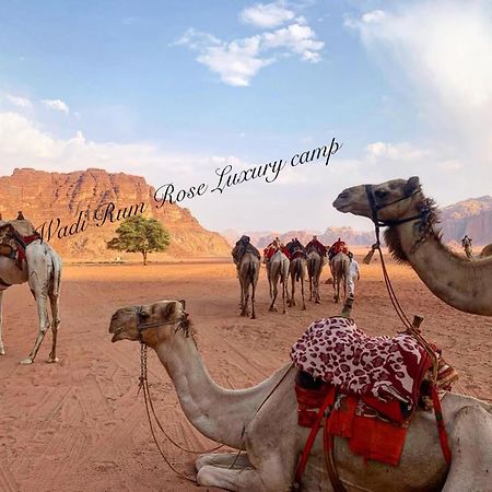 Wadi Rum Rose Luxury Camp Luaran gambar