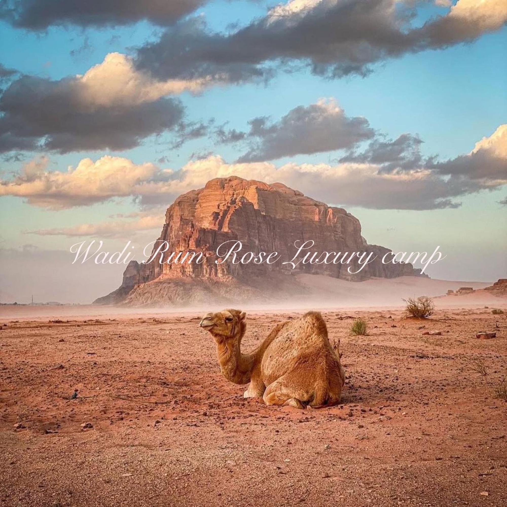 Wadi Rum Rose Luxury Camp Luaran gambar