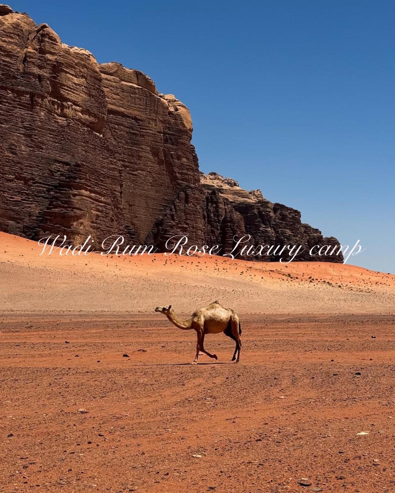 Wadi Rum Rose Luxury Camp Luaran gambar