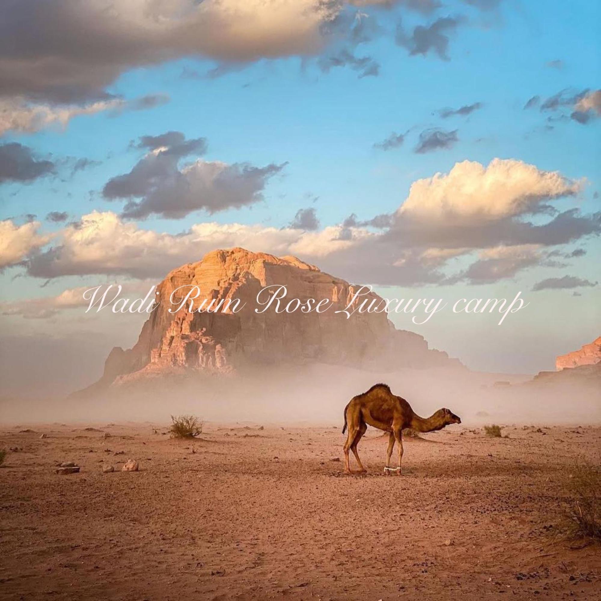 Wadi Rum Rose Luxury Camp Luaran gambar