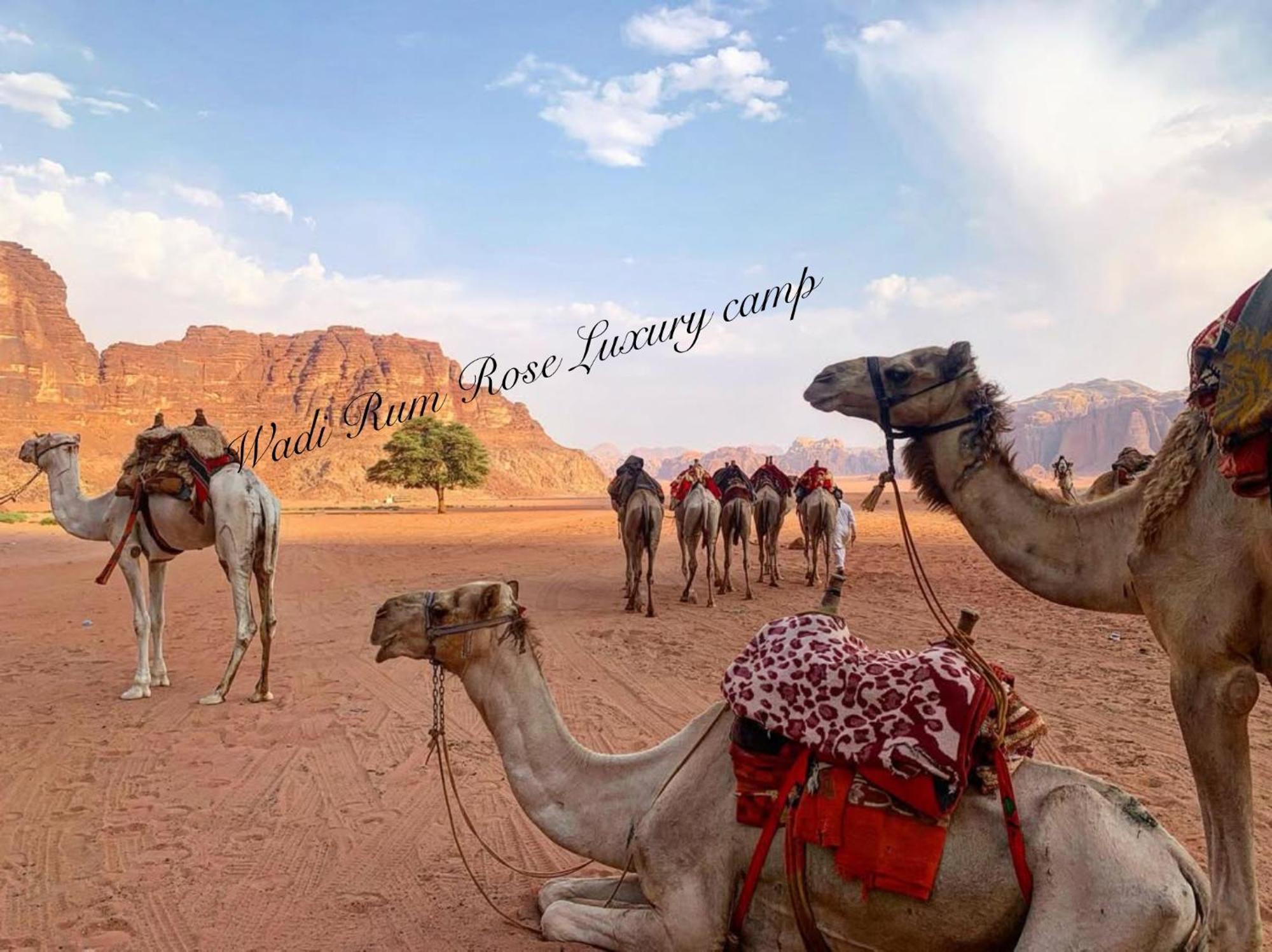Wadi Rum Rose Luxury Camp Luaran gambar