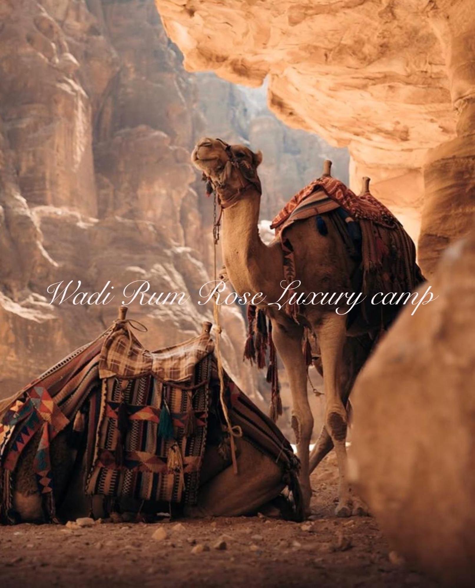 Wadi Rum Rose Luxury Camp Luaran gambar